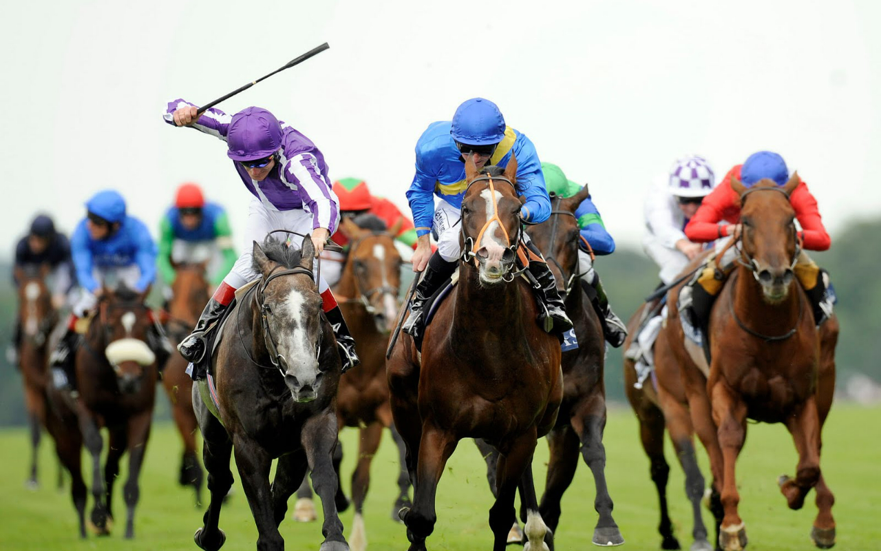 Exploring Horse Racing Betting Strategies